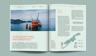 版式設(shè)計(jì)與軟件開發(fā) 探索雜志設(shè)計(jì)中的圖文編排藝術(shù)與技術(shù)實(shí)現(xiàn)